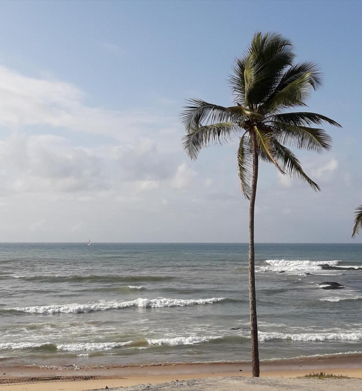 Salvador Surf Hostel المظهر الخارجي الصورة